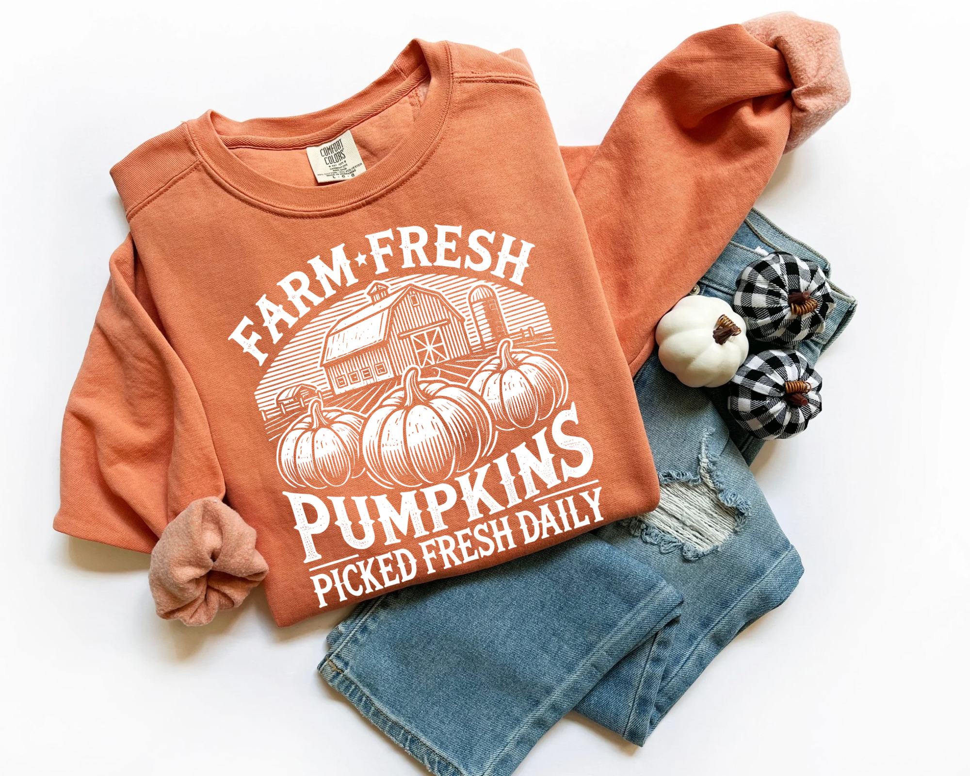 FARM FRESH PUMPKINS - TERRACOTTA TEE
