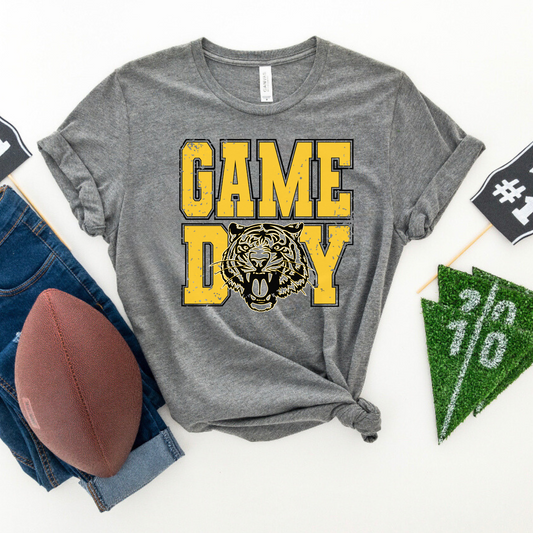 Worth County Distressed Game Day Grey Tee