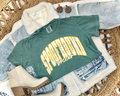DISTRESSED SPOOFHOUND SOCCER- LIGHT GREEN TEE
