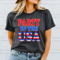 PARTY IN THE USA STRIPED - DARK HEATHER TEE